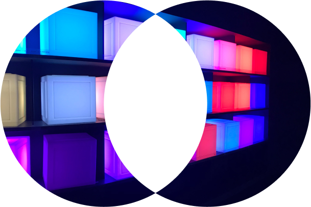 Insights Analysts